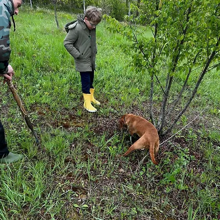 펜션 Mily Scheggia